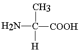 Alanina (un aminoácido)