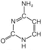 Citosina (una pirimidina)