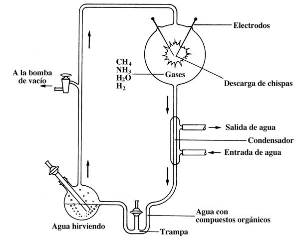 Aparato de Miller