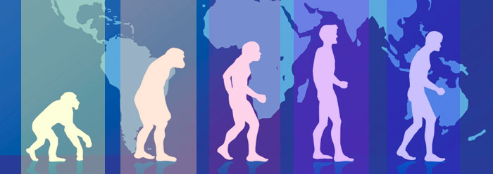 Darwin - serie hipotética de evolución humana