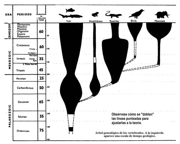 Filognia i eres geolgiques