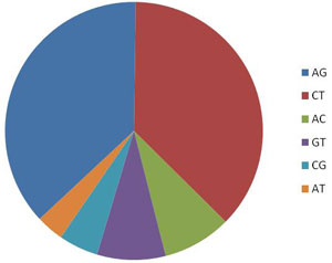 Pie graphic