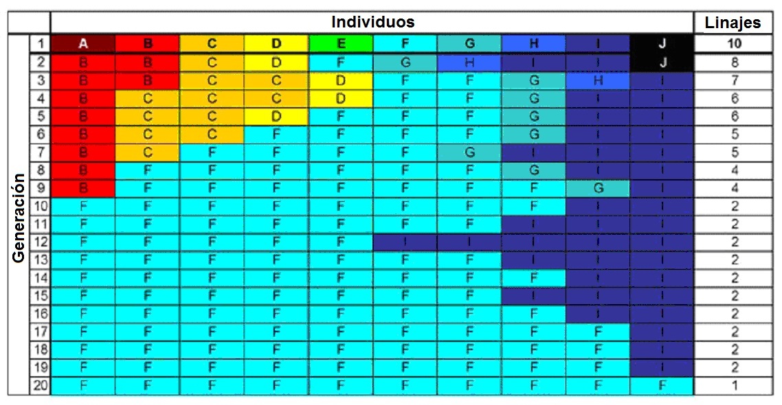 Genetic
                      Drift