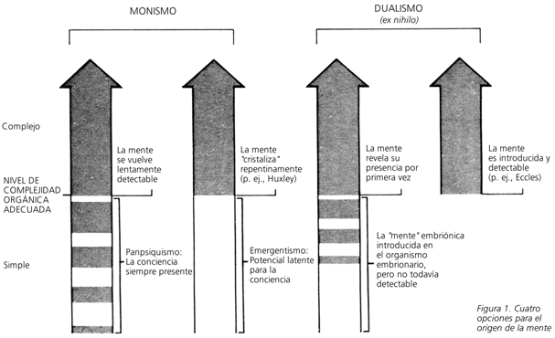 Origen de la mente