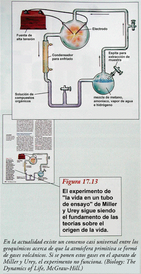 Aparato y experimento de Miller y Urey