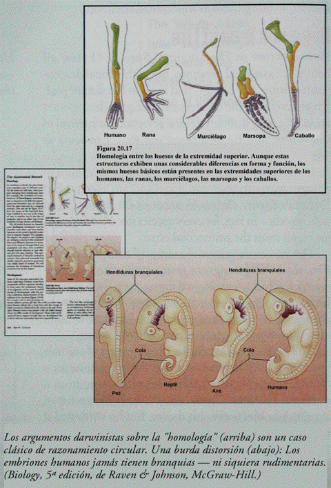 La homología ha resultado no ser prueba de la descendencia común, sino un problema para dicho concepto.