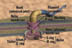 Flagelo bacteriano - ilustración rotulada