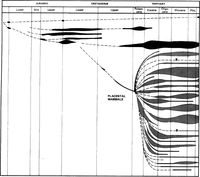 Gràfica de distribució dels fòssils de mamífers