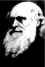 Darwin - fotografía